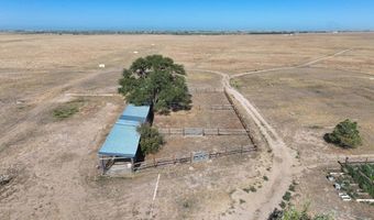 42667 County Road 51, Ault, CO 80610