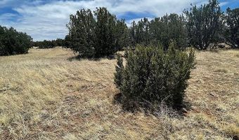 29 County Road 8069, Concho, AZ 85924