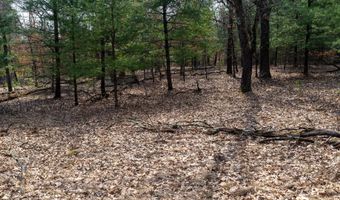 Dover Drive lot 2 +/-43 Ac, Adams, WI 53910