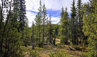 PCS # 7765 & 12057 Rollies Trail lot 0, Alma, CO 80420