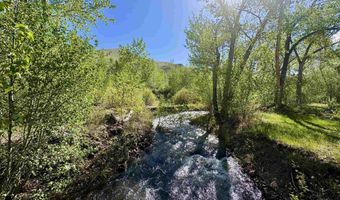 9885 Challis Creek Rd, Challis, ID 83226