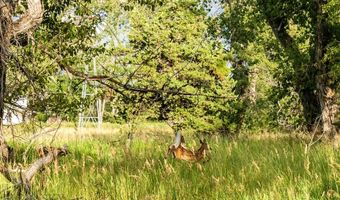 Riverway Road lot 15 A Tbd, Belgrade, MT 59714