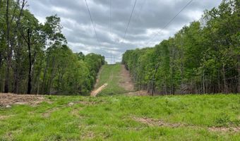 Co Rd 321 Route 5, Ava, MO 65608