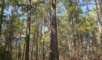 2862 Wallace Dr, Bogue Chitto, MS 39629