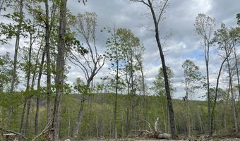 State Hwy N Tract G, Ava, MO 65608
