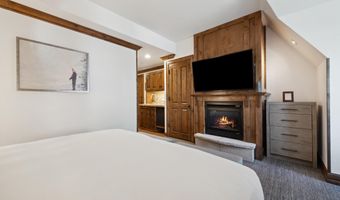 415 E Dean St Unit 48 Week 31, Aspen, CO 81611