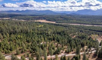 Nka Grand Fir, Athol, ID 83801