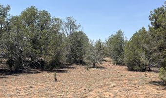 164 Rattlesnake Rd, Ash Fork, AZ 86320
