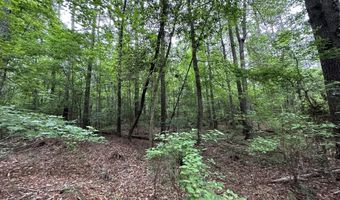 Lot 3a Elberton Highway, Lincolnton, GA 30817