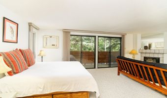 935 E Hopkins Ave 6, Aspen, CO 81611