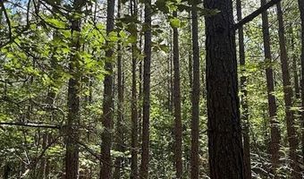 0- Lot 5 Piney Mountain Rd, Appomattox, VA 24522
