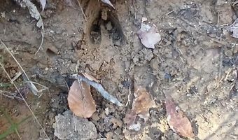 BLACKJACK ROAD lot 0, Argo, AL 35173