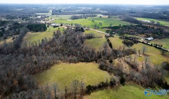 17 Acres County Road 656, Anderson, AL 35610
