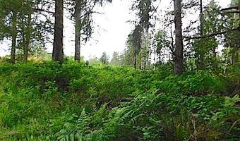 Knappa Dock RD, Astoria, OR 97103
