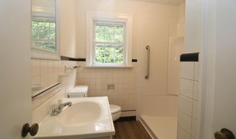 111 WILLIAMSVILLE Rd, Houston, DE 19954