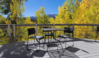 1139 BOREAS PASS Rd, Breckenridge, CO 80424