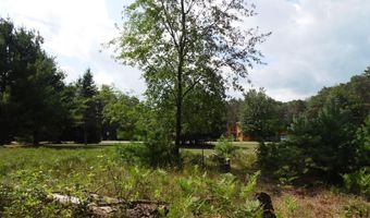 S Forest Lake, Alger, MI 48610