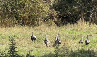 13761 Asotin Creek Rd, Asotin, WA 99402
