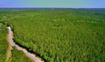 0 Pebble Cove Rd, Abbeville, AL 36310