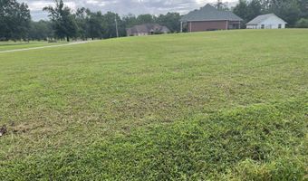 CANEY BRANCH Rd lot 34, Adamsville, TN 38310