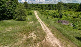 303 Westwood Rd NW, Alden, MI 49612