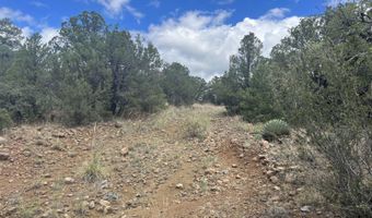 415 XYZ, Arenas Valley, NM 88022