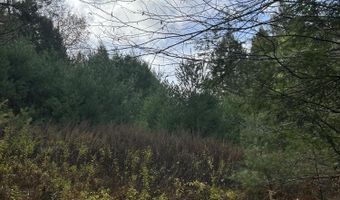 239 Sundale Rd, Accord, NY 12404