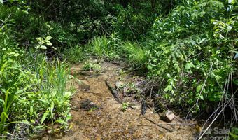 1557 Shoal Creek Rd, Balsam Grove, NC 28708