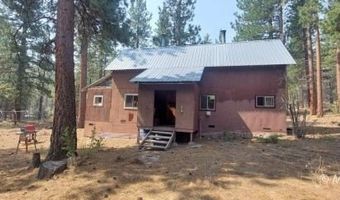 40 Acres Off 36N06, Adin, CA 96006