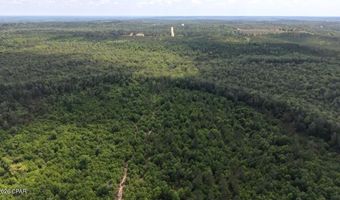 Broadview Avenue, Alford, FL 32420