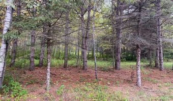 TBD LOT 13 Owl Avenue, Aitkin, MN 56431