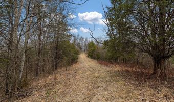 Smithtown Road, Afton, TN 37616