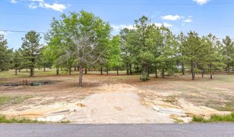 Hwy 69, Alba, TX 75410