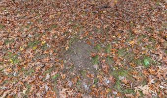 8752 HWY A, Almond, WI 54909