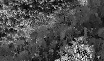 Voorhees Road, Bamberg, SC 29003