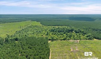Green Town Road, Bay Minette, AL 36507