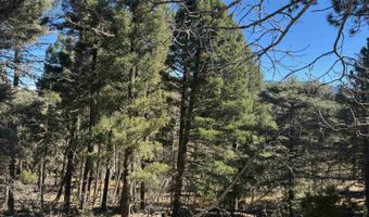 Taos Dr lot 173, Angel Fire, NM 87710