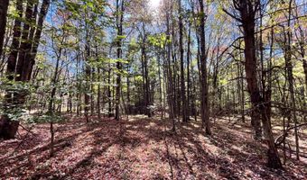 1235 White Hill Rd, Alma, NY 14715