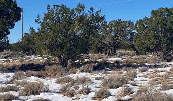 211 Windmill Rnch, Carrizozo, NM 88301