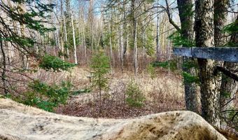 xxx Benson Rd, Alborn, MN 55702