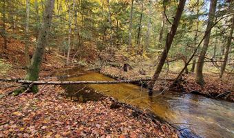 Alden Meadows lot 38, Alden, MI 49612