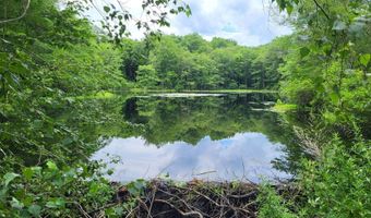 305 Tripp Hollow Rd, Brooklyn, CT 06234
