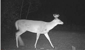 999 Porcupine Trl, Aitkin, MN 56431