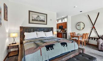 505 S Main St 1203, Breckenridge, CO 80424