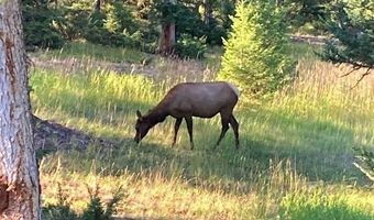 1055 Skywood Rd, Big Sky, MT 59716