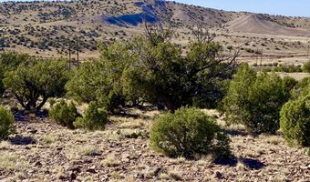 Tbd Co Rd 5062 Lot 1 3.53 Acres, Concho, AZ 85924