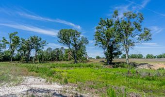 Chad Lake Rd, Alma, GA 31510