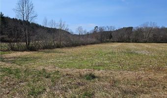1827 Willis Gap Rd 104, Ararat, VA 24053