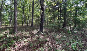 County Road 544, Bakersfield, MO 65609