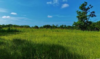 22880 OLD WEEKLY ROAD Lot 40 Acres, Bay Minette, AL 36507